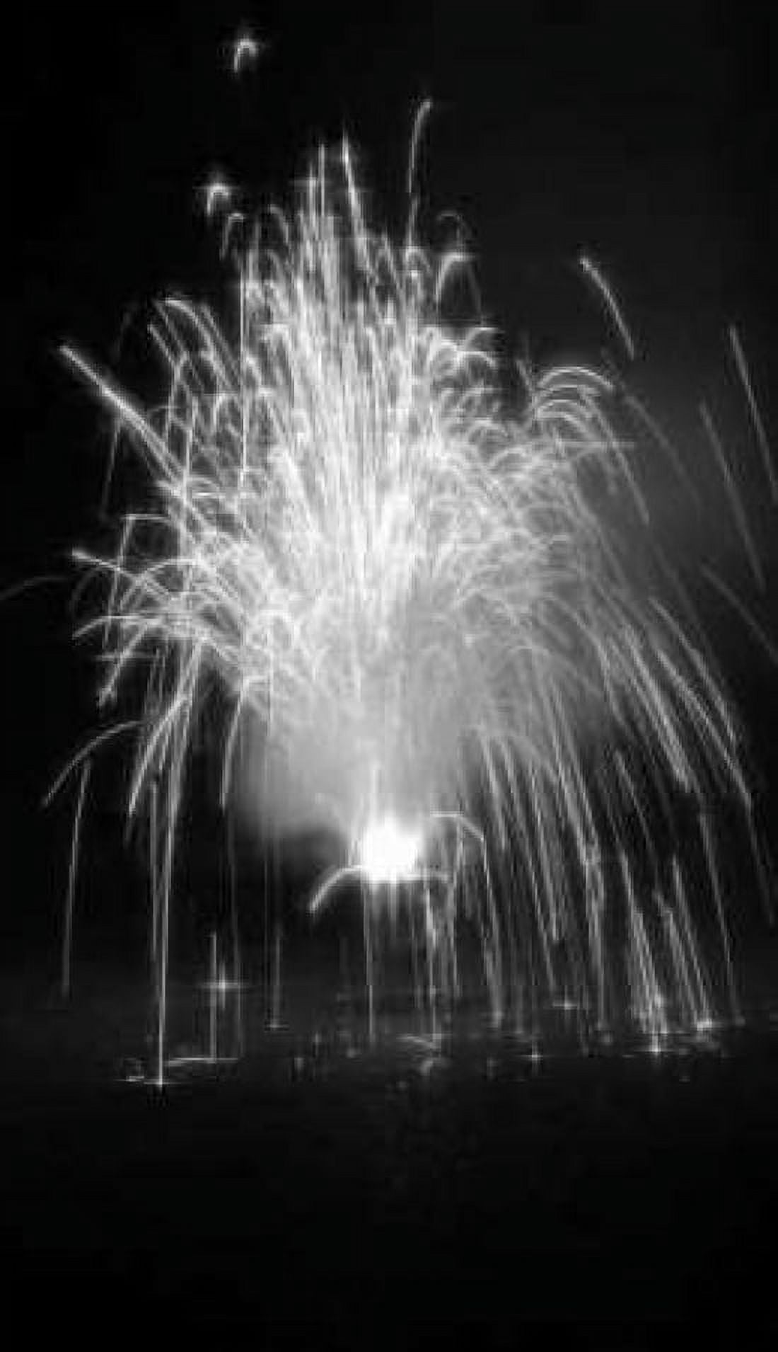 Fireworks I Canvas Art - Tammy Putman (12 x 18)