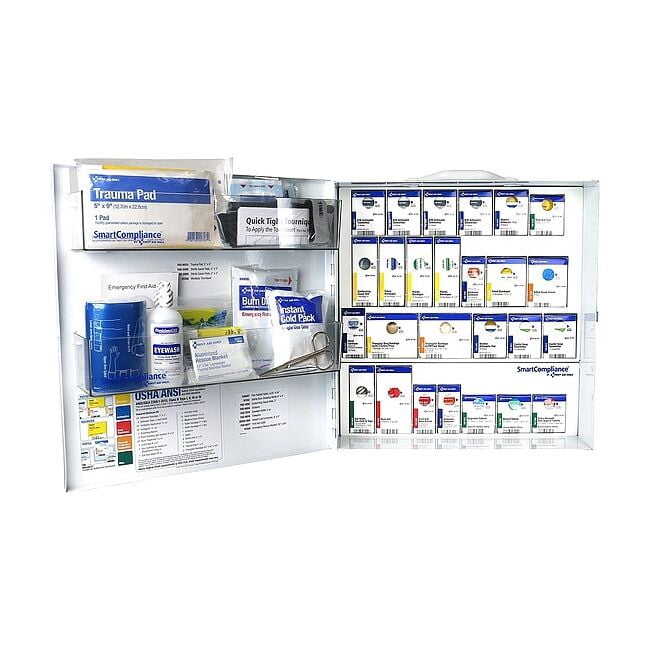 First Aid Kit and Housing, Metal Cabinet, 391 Components, 100 People Served 91376