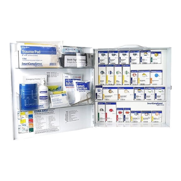 First Aid Kit and Housing, Metal Cabinet, 344 Components, 100 People Served
