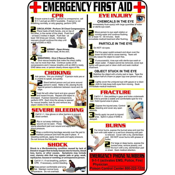 First Aid and Choking Poster, 11' x 17", Laminated, Includes CPR, Shock, Eye Injury, Fracture, Burns, Severe Bleeding & Choking