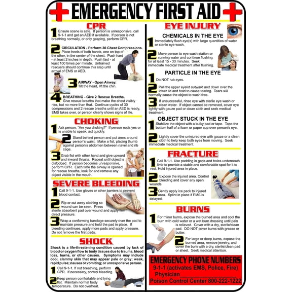 First Aid and Choking Poster, ncludes CPR, Shock, Eye Injury, Fracture, Burns, Severe Bleeding & Choking
