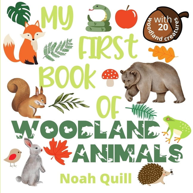 My First Book: My first book of woodland animals : Colorful picture ...