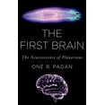 thumbnail image 1 of First Brain : The Neuroscience of Planarians, 1 of 1