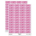 thumbnail image 1 of First Class with Border Mail Sticker Set - Hot Pink - Matte Finish - 1.25" Mini, 1 of 7