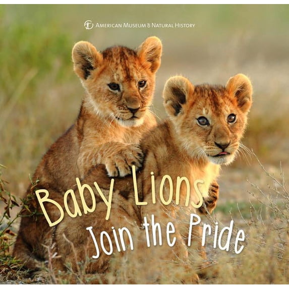 First Discoveries: Baby Lions Join the Pride (Hardcover)