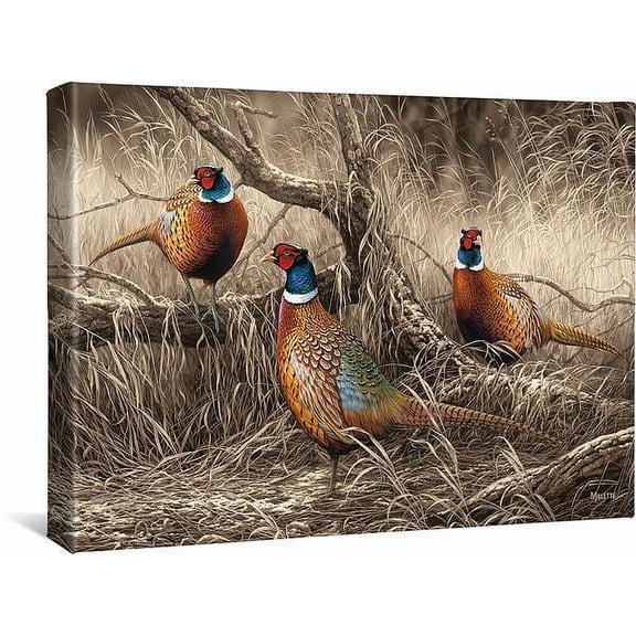 First DustingPheasants
