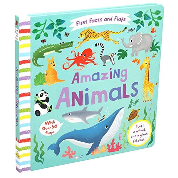 Pre-Owned First Facts and Flaps: Amazing Animals (Board book) 1684129745 9781684129744