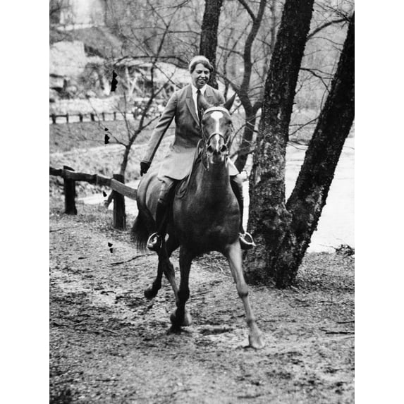 First Lady Eleanor Roosevelt History (24 x 36)