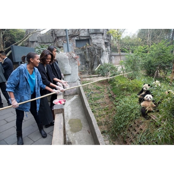 First Lady Michelle Obama History (36 x 24)