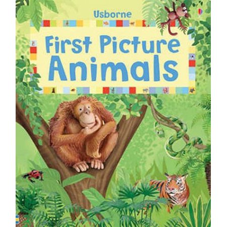 Pre-Owned Usborne First Picture Animals. (Hardcover) 0746078994 9780746078990