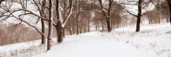 First Snow I Canvas Art - Mike Sleeper (8 x 24)