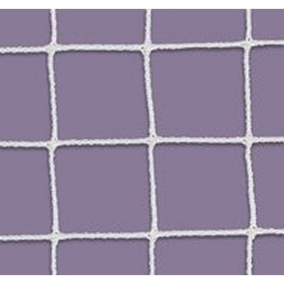 First Team FT605 Steel Economy Lacrosse Goal