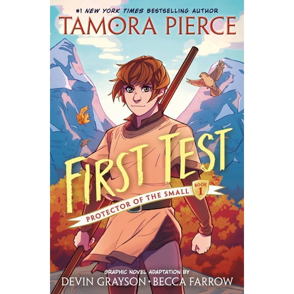 First Test Graphic Novel: (a Graphic Novel) (Paperback)