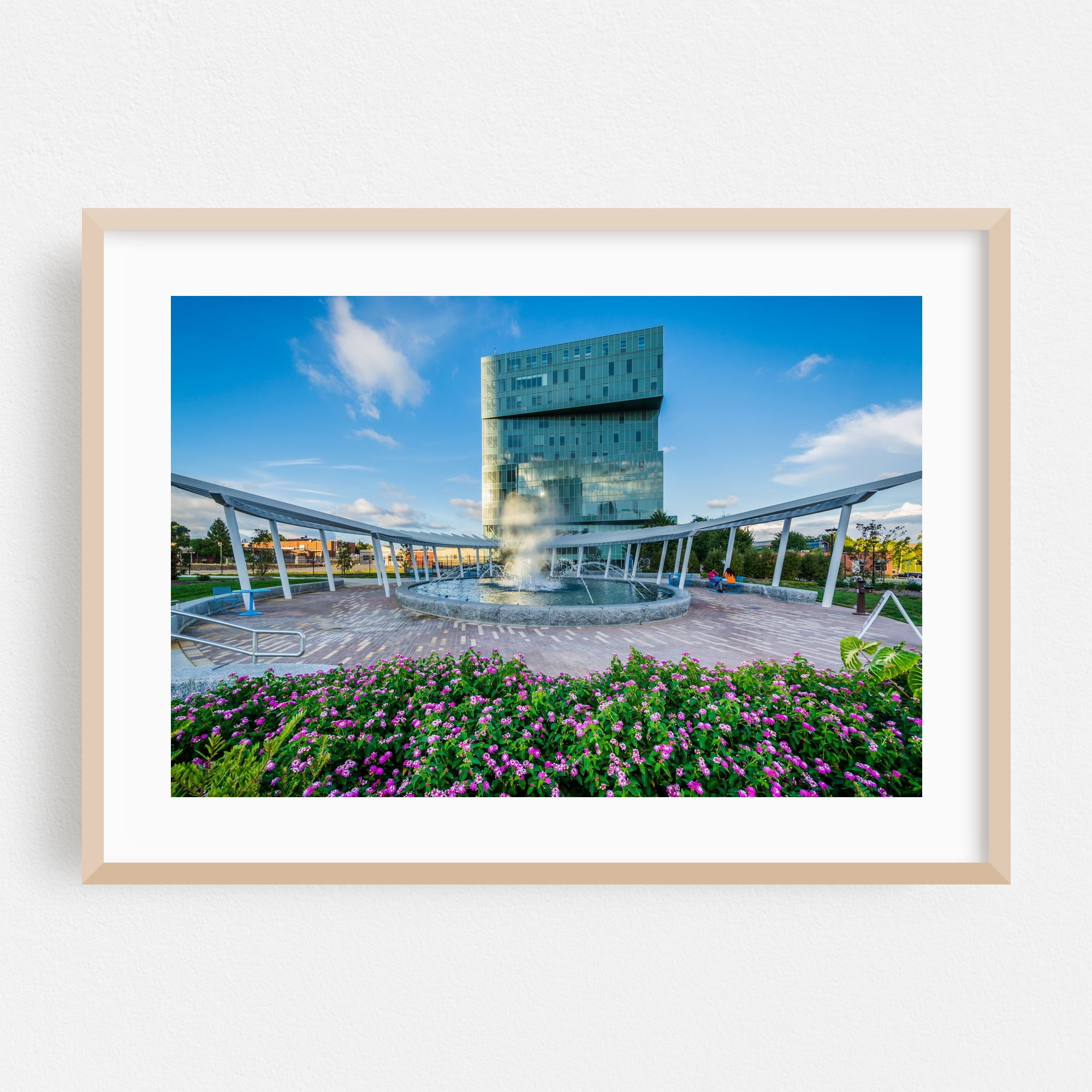First Ward Park - Charlotte North Carolina Photography Oak Framed Wall ...