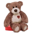 thumbnail image 1 of First and Main 15" Tender Teddy, 1 of 2