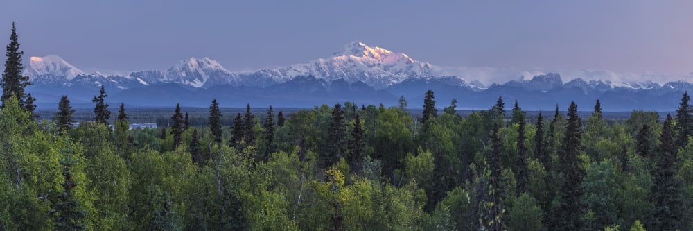 First light on the south side of Denali and the Alaska Range Southcentral Alaska Summer Canvas Art - Jeff Schultz Design Pics (27 x 9)