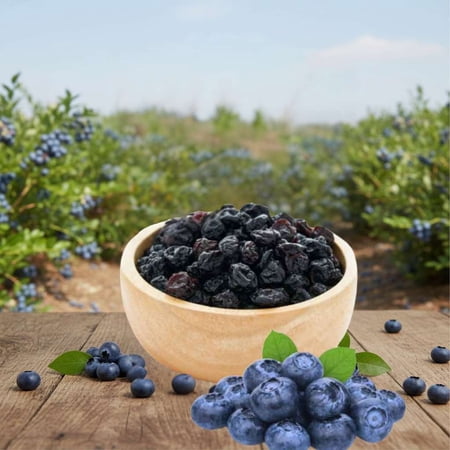 FirstChoiceCandy sweet and tangy taste of premium dried blueberries - 2 Pound
