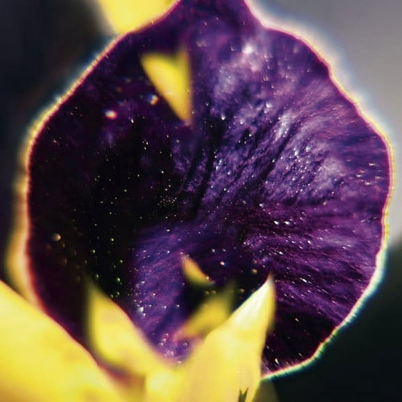 Fis - From Patterns To Details - Electronica - CD