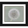 thumbnail image 1 of Fischer, Mirjam 18x15 Black Ornate Wood Framed with Double Matting Museum Art Print Titled - Dandelion Seedball, 1 of 4