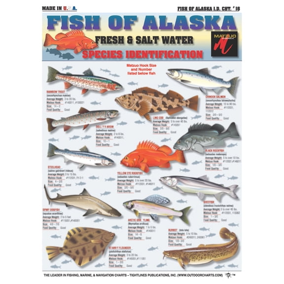 Fish of Alaska Species Identification #16 (Freshwater & Saltwater) - Waterproof Quick Reference Guide | Portable & Built to Last | Double-Sided & Easy to Read | (Size, Location, and Food Quality)