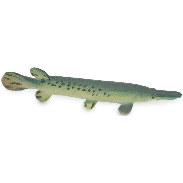 Freshwater fish toys outlet