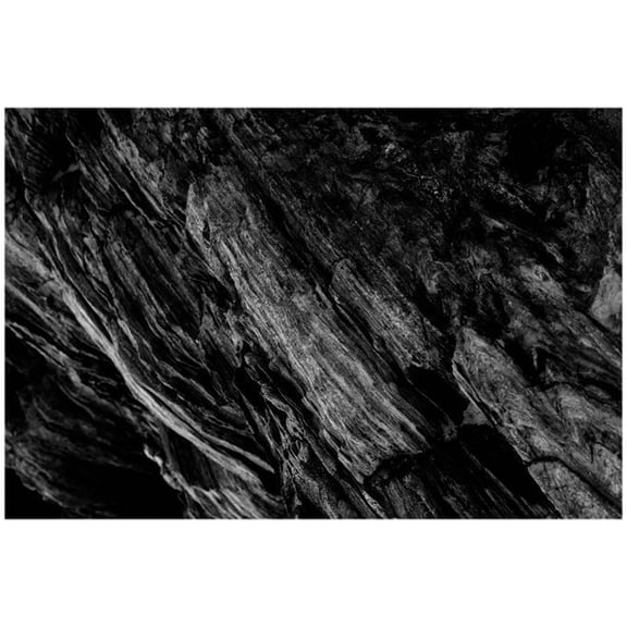 Fish Aquarium Background Fish Background Self-Adhesive Stickers Decals Decor Home Office Aquariums Gift