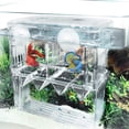 thumbnail image 1 of Fish Breeder Box for Aquarium, Baby Fish Tank with Suction Cups, Breeding Incubator for Fish Hatchery, Acrylic Divider for Shrimp Clownfish Aggressive Fish Injured Fish (Large), 1 of 9