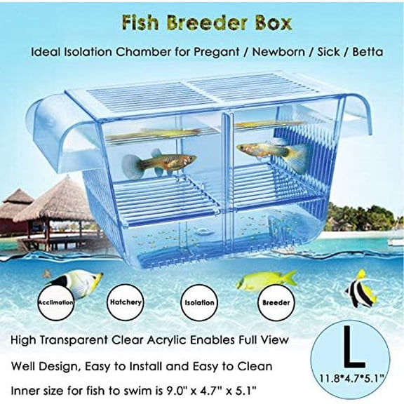 Fish Breeder Box Fish Hatchery Floating Fish Breeding Box with Removable Grating Perfect Fish Tank Divider for Agreesive Injured Pregnant Fishes