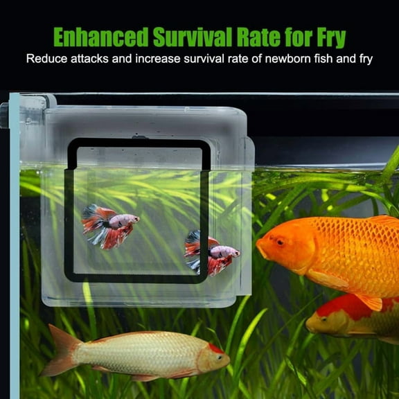 Fish Breeding Box, Acrylic Isolation Box Hanging Aquarium Hatchery Tank for Freshwater Seawater