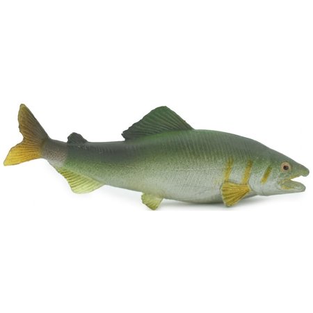 Fish, Coho Salmon, Silver, Salmonidae, Museum Quality, Hand Painted, Realistic, Rubber, Figure, Model, Replica, Toy, Kids, Educational, Gift, 3" CH702 BB174