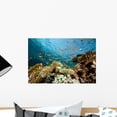 thumbnail image 1 of Fish Coral and Ocean Wall Mural by Wallmonkeys Peel and Stick Graphic (18 in W x 12 in H) WM299494, 1 of 4