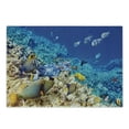 thumbnail image 1 of Fish Cutting Board, Barrier Reefs Covered Sea with Lagoon and Zebrafish Anemonefish Picture, Decorative Tempered Glass Cutting and Serving Board, Small Size, Turquoise Pale Yellow, by Ambesonne, 1 of 1