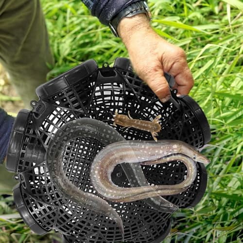 Fish EEL Catcher Traps, Crawfish Trap, Fishing Bait Trap, 2024 New Portable Catch Fish Trap Cage, Fish Loach Cage Fish Cage, Lobster Shrimp mesh cage Traps Crabs Basket Shrimp net