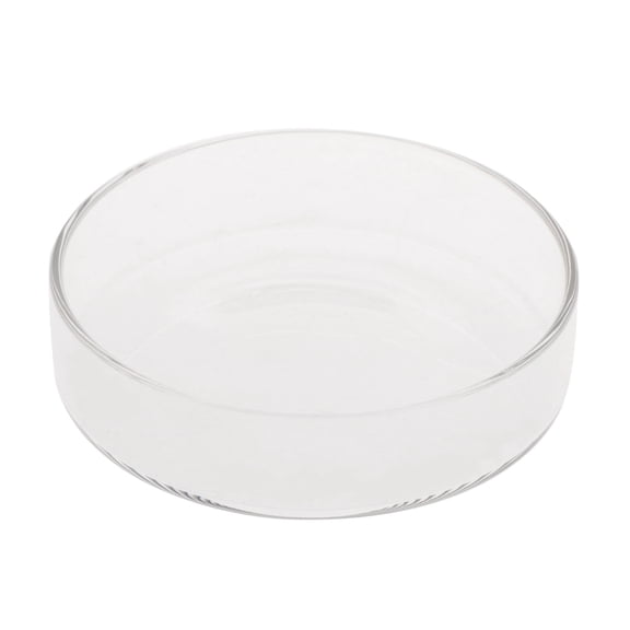 Fish Feeding Dish Feeding Aquarium Feeder Cup Aquarium Feeding Cup Feeding Cup