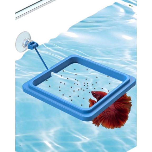 Fish Feeding Ring For Fish Tank Aquarium Feeding Ring With Suction Cup Square Floating Food Feeder Small Feeder Circle For Betta Goldfish Guppy Turtle