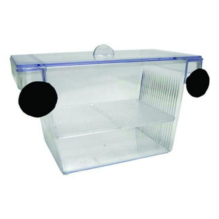 Fish Hatchery Tank