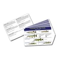 thumbnail image 1 of Fish Ident-I-Cards Set, 1 of 2