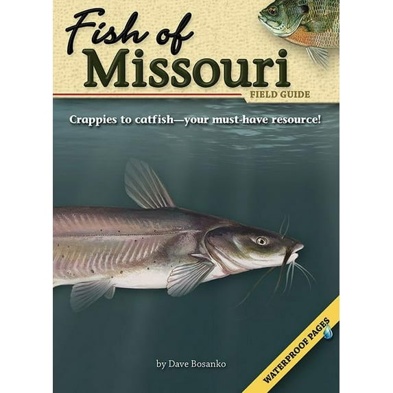 Fish Identification Guides: Fish of Missouri Field Guide (Paperback)
