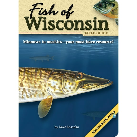 Fish Identification Guides Fish of Wisconsin Field Guide, (Paperback)
