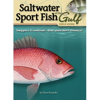 saltwater fish guide 