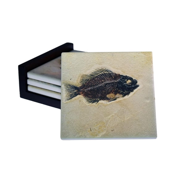 Fish Images - 4-Piece Ceramic Tile Coaster Set - Caddy Included