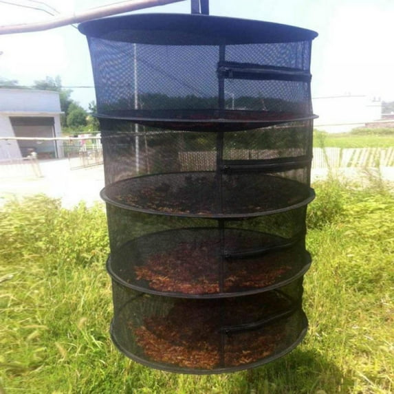 Fish Mesh Hanging Drying Net Food Dehydrator Durable Folding 4 Layer Dryer Rack