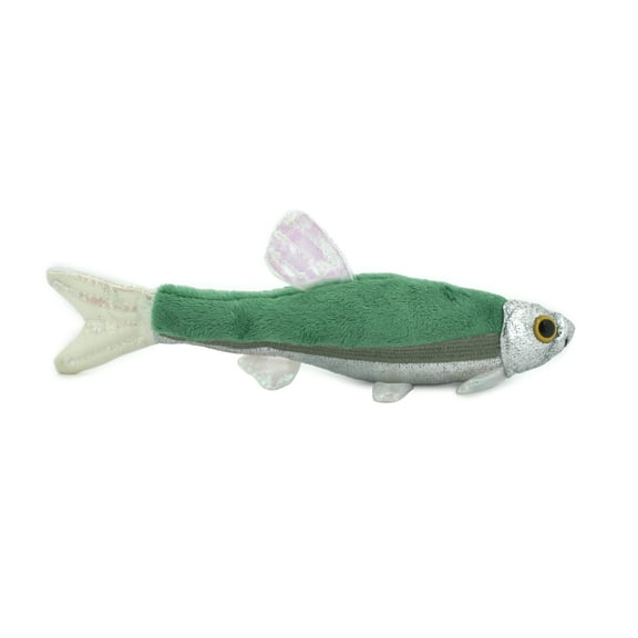 Fish, Minnow, Cyprinidae and Leuciscidae. Stuffed Fish, Fish, Educational, Realistic Hand Designed, Figure, Lifelike Figurine, Replica, Gift, 9" F3414 B323