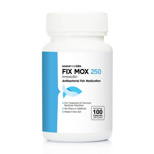 Fish Mox Fix Mox 250mg 100 Count Amoxicllin Fish Antibiotic