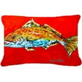 thumbnail image 1 of Fish - Red Fish Red Head Indoor & Outdoor Fabric Decorative Pillow, 1 of 1