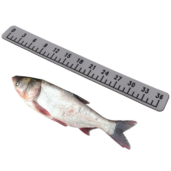 36-Inch EVA Foam Fish Measuring Ruler - Self-Adhesive Boat & Kayak Fishing Ruler with Large Numbers, Marine Measurement Tool
