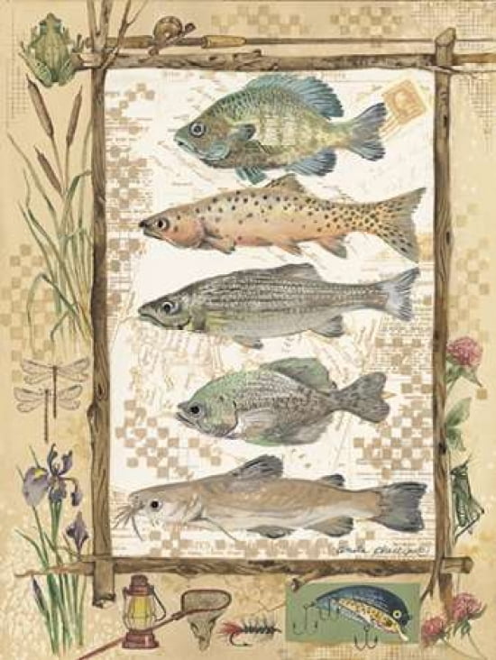 Fish Sampler Canvas Art - Anita Phillips (18 x 24)