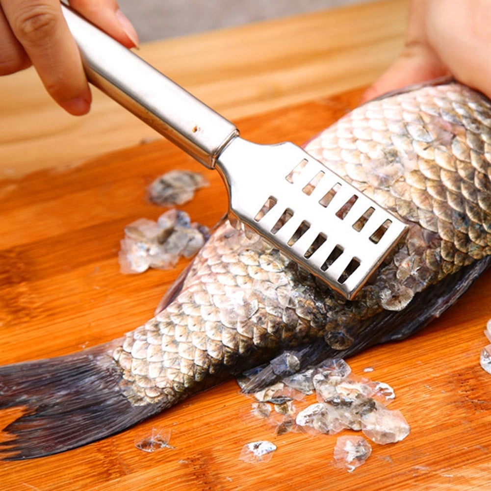 Fish Scaler Brush Fish Scaler Remover with Stainless Steel