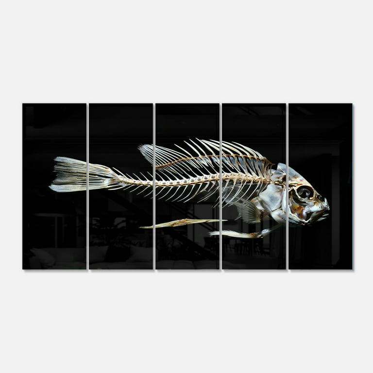 Fish Skeleton Bone on Black 28 in x 60 in Painting Art Prints, by Designart