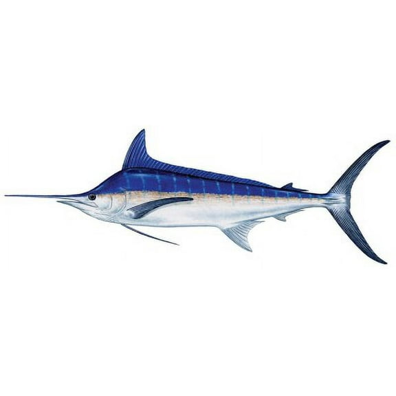 Fish Stix Blue Marlin Saltwater Fish Collection Decal Full Color Sticker 12x4in